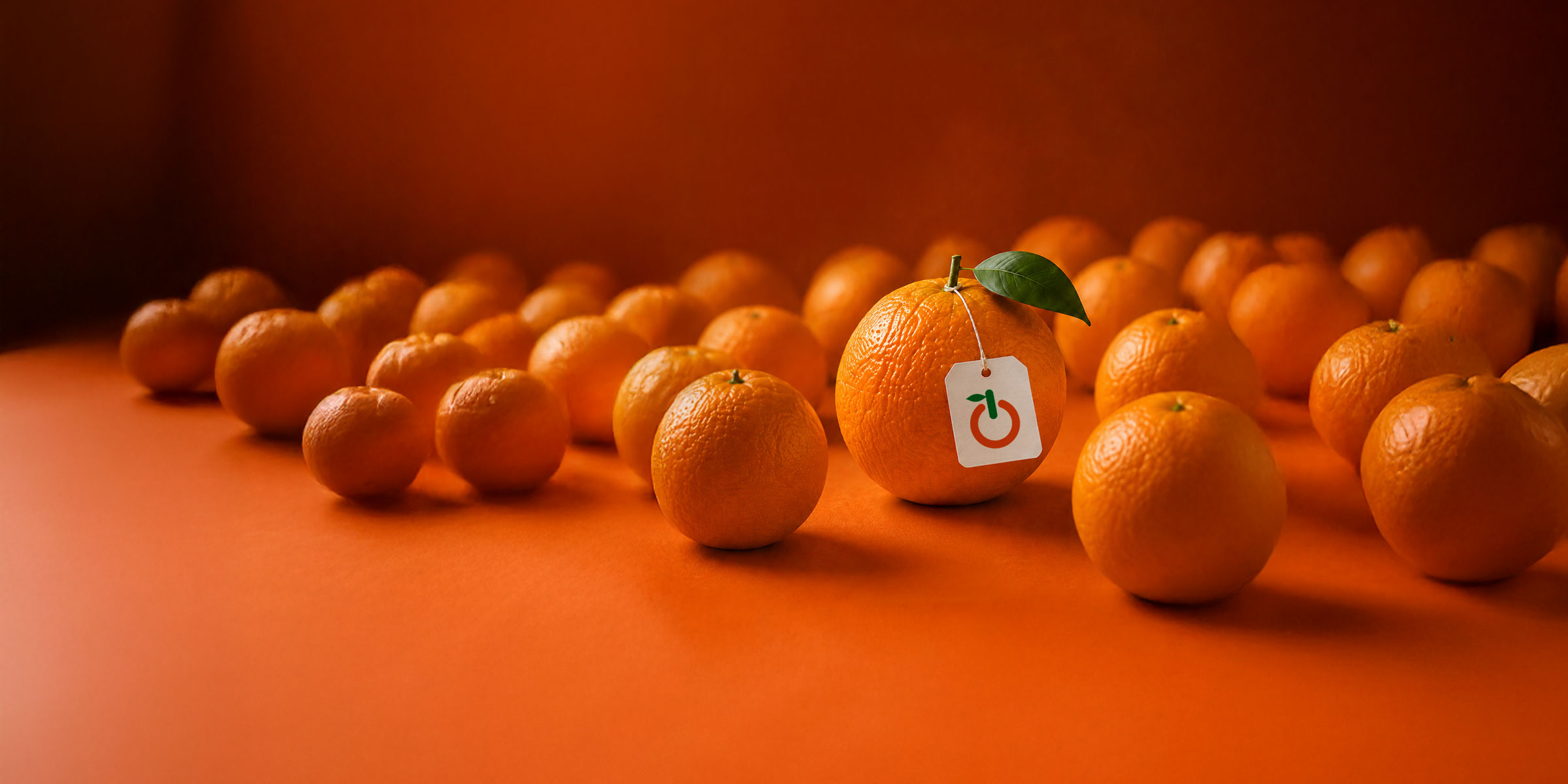 Uma laranja com a identidade Laranja Lima em destaque entre as demais — quem se posiciona vira escolha